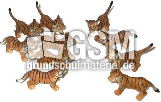 Tiger6+4.jpg